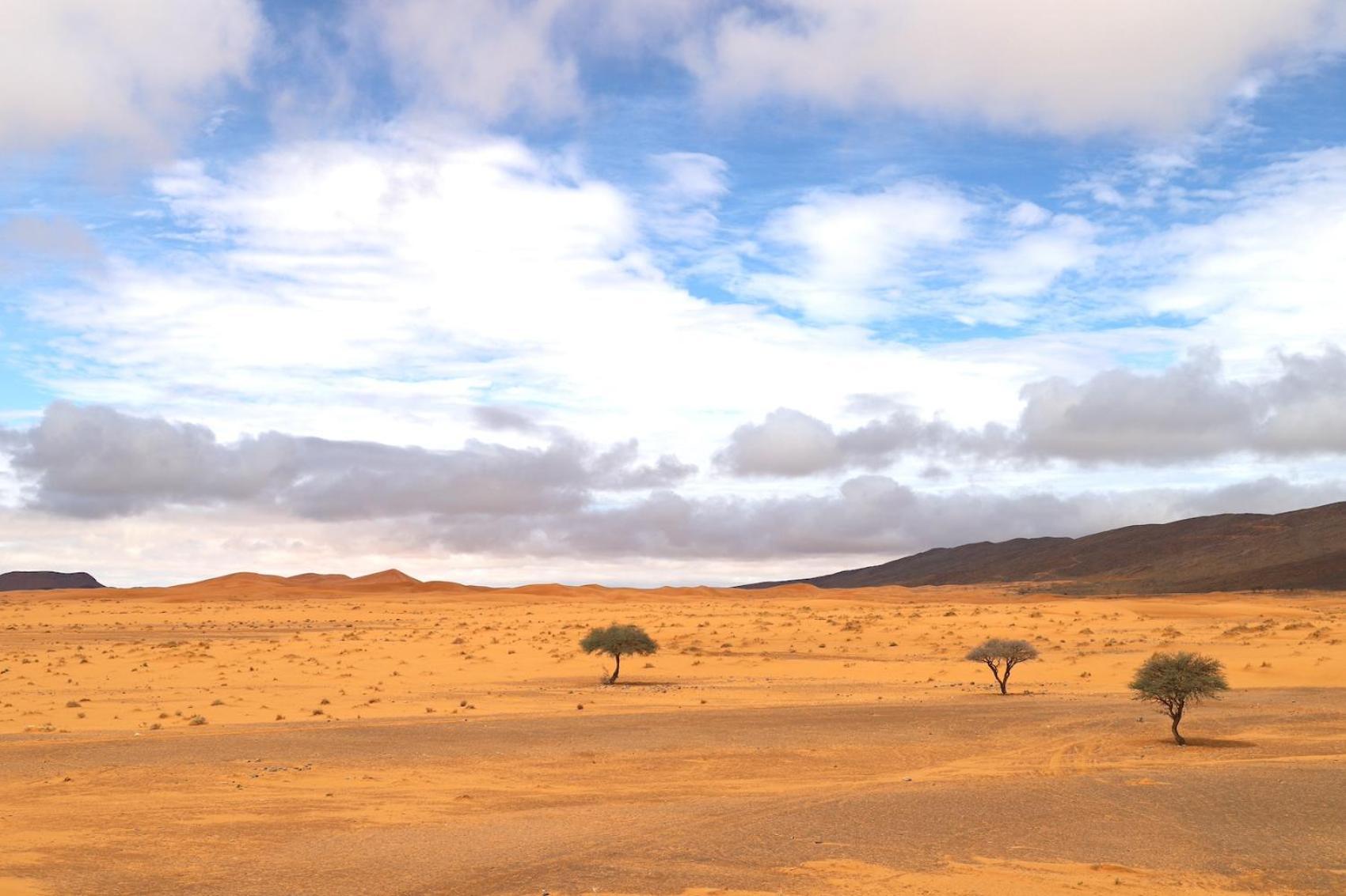 Porte De Sahara Ouzina Luaran gambar